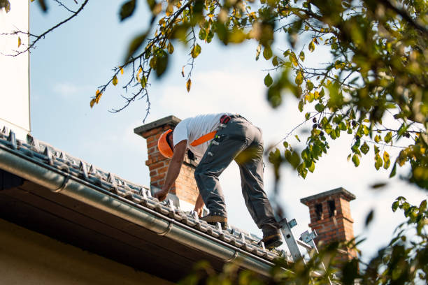 Best Gutter Installation and Roofing  in Ashwaubenon, WI