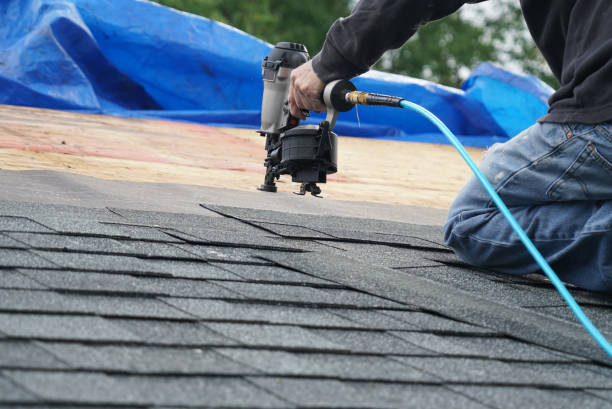 Best Roof Gutter Cleaning  in Ashwaubenon, WI