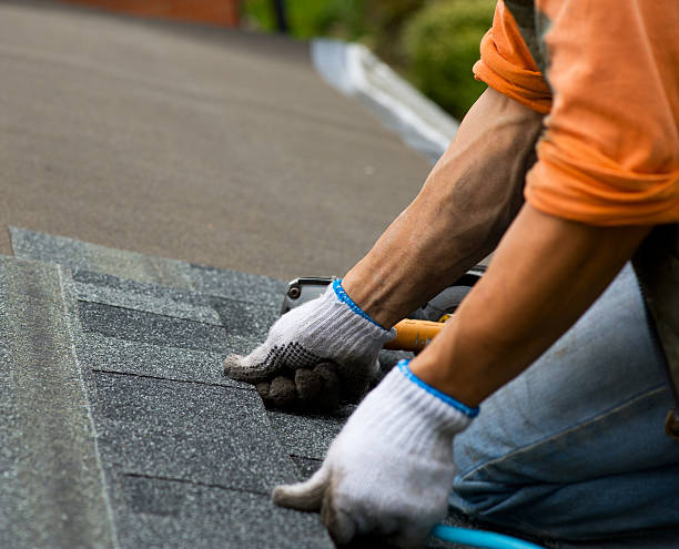 Best Storm Damage Roof Repair  in Ashwaubenon, WI