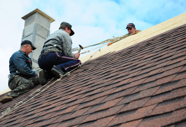 Roof Gutter Cleaning in Ashwaubenon, WI